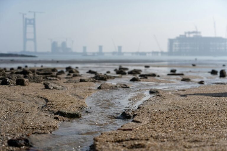 cohort expansion tracking log